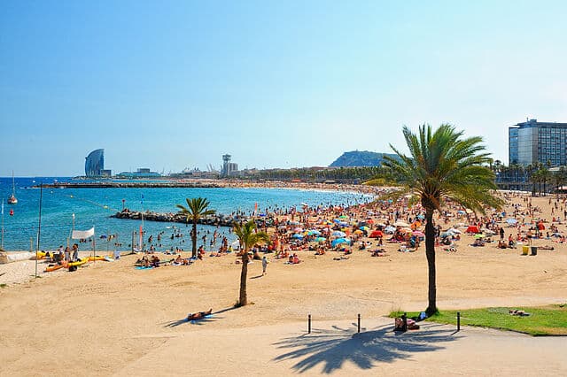PARK / BCN